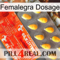 Femalegra Dosage new01